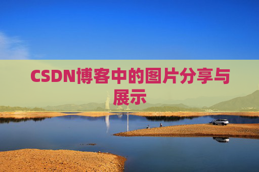 CSDN博客中的图片分享与展示
